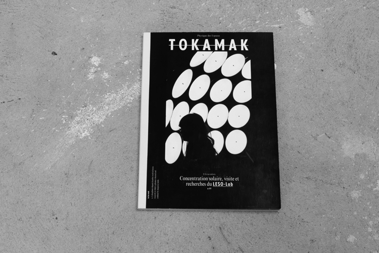 projects/tokamak/tokamak_1.png